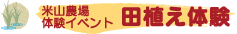 �c�A���̌�