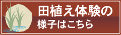 �c�A���̌�